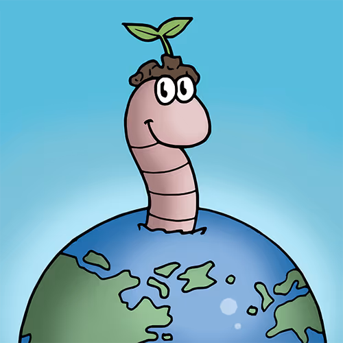 bellflower originals