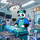 Surgeon Panda