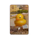 404