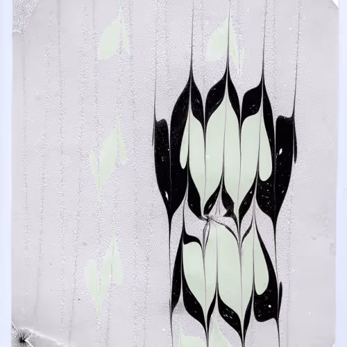 Fluint Series B 1