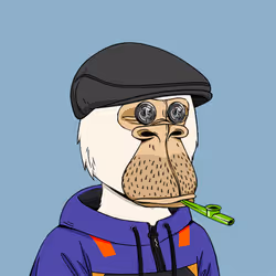 1563