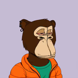 Okay Ape Bear #13