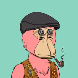 Okay Ape Bear #236