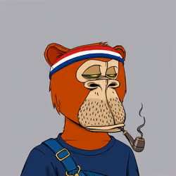 Okay Ape Bear #1283