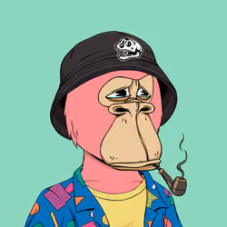 Okay Ape Bear #1411