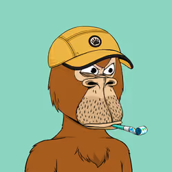 Okay Ape Bear #166