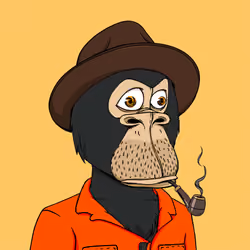 Okay Ape Bear #856