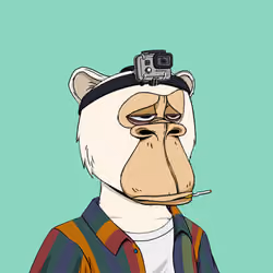 Okay Ape Bear #1796