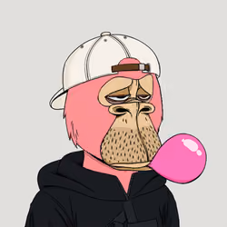 Okay Ape Bear #1815