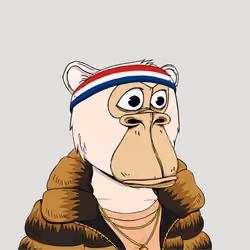 Okay Ape Bear #241