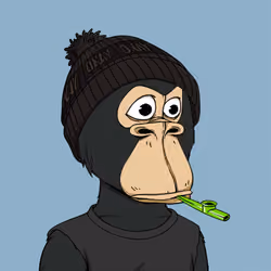 Okay Ape Bear #234
