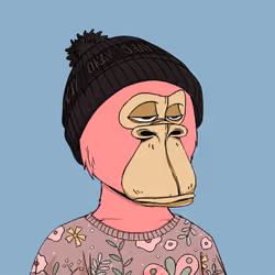 Okay Ape Bear #279