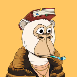 Okay Ape Bear #1737