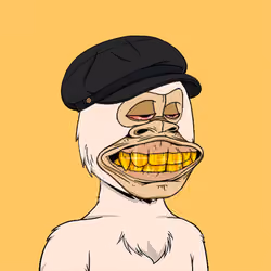 Okay Ape Bear #1842