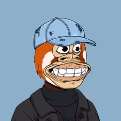 Okay Ape Bear #164