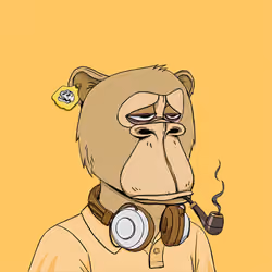 Okay Ape Bear #855