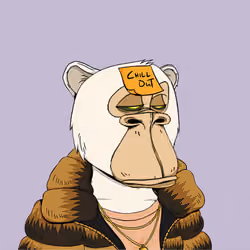 Okay Ape Bear #1428