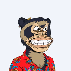 Okay Ape Bear #1798