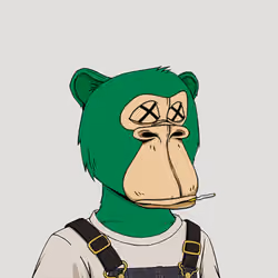 Okay Ape Bear #249