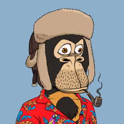 Okay Ape Bear #1738