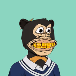 Okay Ape Bear #165
