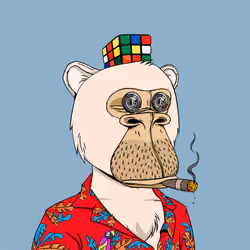 Okay Ape Bear #1739