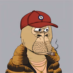 Okay Ape Bear #2059