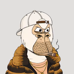Okay Ape Bear #70