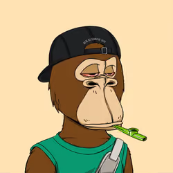 Okay Ape Bear #1410