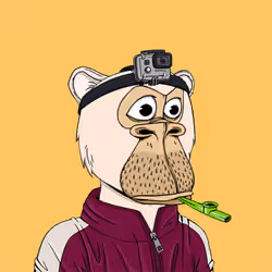 Okay Ape Bear #1318
