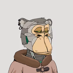 Okay Ape Bear #1429