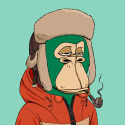 Okay Ape Bear #2039