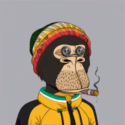 Okay Ape Bear #2060