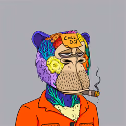 Okay Ape Bear #12