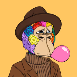 Okay Ape Bear #1843
