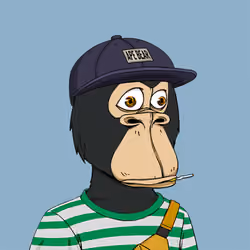 Okay Ape Bear #857