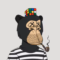 Okay Ape Bear #865