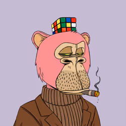 Okay Ape Bear #1427