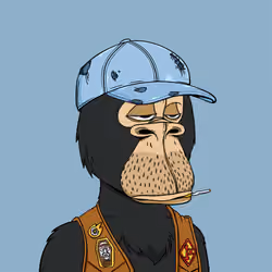 Okay Ape Bear #358