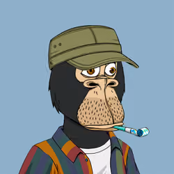Okay Ape Bear #356