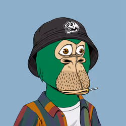 Okay Ape Bear #278