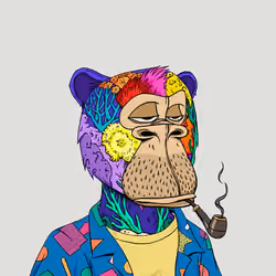 Okay Ape Bear #866