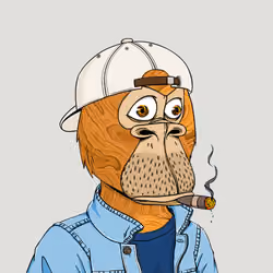 Okay Ape Bear #240
