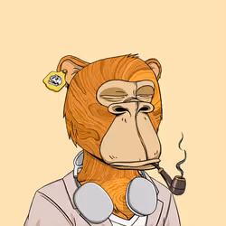 Okay Ape Bear #971