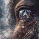 The Eye That Remembers