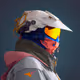 Snowborgs