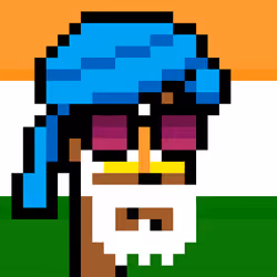 The Indian #2648