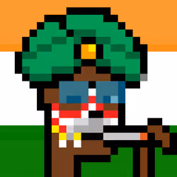 The Indian #4379