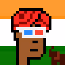 The Indian #5466