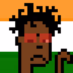 The Indian #4358
